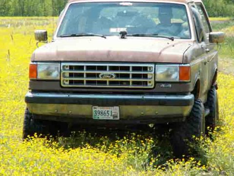 1988 Ford Bronco - This 1988 Ford Bronco is parked in a field of yellow wildflowers.