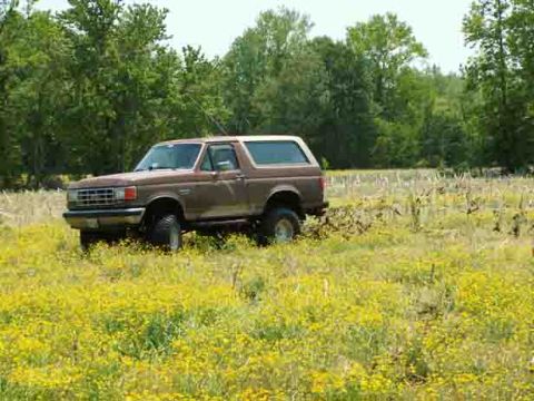 1988 Ford Bronco - A 1988 Ford Bronco sits in a field of wildflowers under a clear sky.