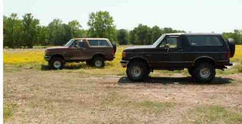 1988 Ford Bronco - Two Ford Broncos are parked in a field with trees and yellow flowers under a bright sky.