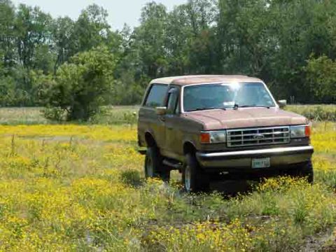 1988 Ford Bronco - This 1987 Ford Bronco is parked in a field with yellow flowers and trees in the background.