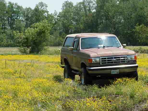 Brown 1987 Ford Bronco parked in a field of yellow wildflowers