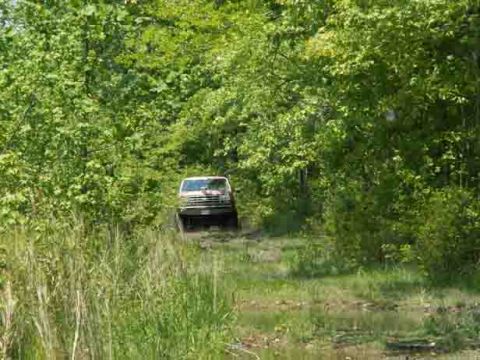 1988 Ford Bronco - A vehicle navigates a muddy path surrounded by dense foliage.