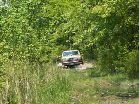 1988 Ford Bronco - A tan SUV navigates a water-filled path amidst dense foliage.