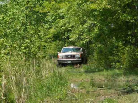 1988 Ford Bronco - Ford Bronco navigates a muddy path surrounded by dense green foliage.