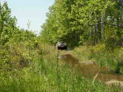 1988 Ford Bronco - A vehicle navigates a wet, overgrown trail surrounded by dense foliage.