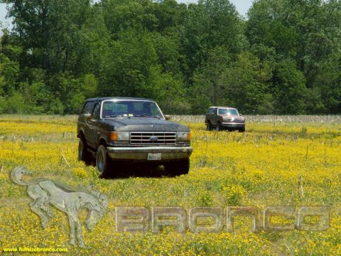 1988 Ford Bronco - Two Ford Broncos are parked in a field covered in yellow wildflowers under a bright sky.