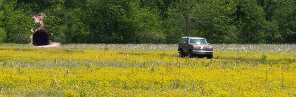 Brown Ford Bronco driving through a field of yellow flowers near a tunnel entrance