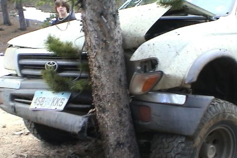 1979 Ford Bronco - Two white SUVs have collided with a tree, causing significant damage to their front ends.