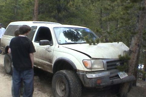 1979 Ford Bronco - This white SUV appears to have sustained significant damage after colliding with a tree.