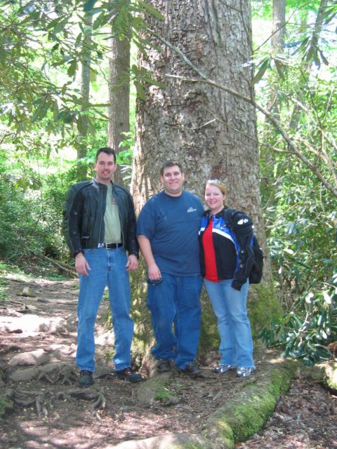 1985 Ford LTD Crown Victoria - A group of friends stops for a photo opportunity during a scenic drive through the woods.