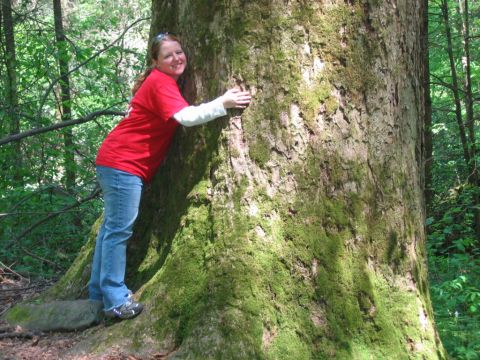 1985 Ford LTD Crown Victoria - Woman embraces a large tree covered in moss while standing in a wooded area.