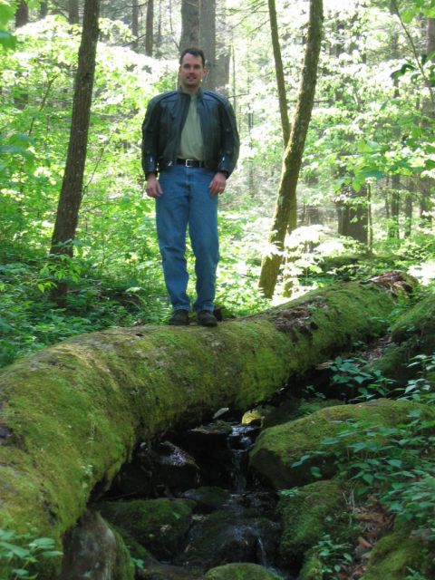 1985 Ford LTD Crown Victoria - A man poses on a mossy log crossing a stream in a lush forest setting.