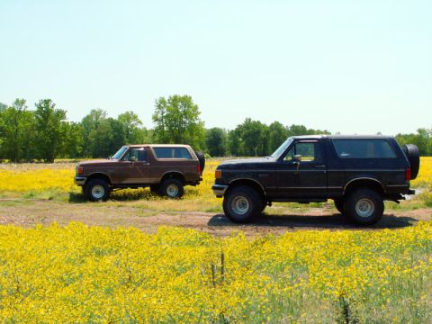 1988 Ford Bronco - Two Ford Broncos are parked side-by-side in a field of yellow wildflowers under a clear blue sky.