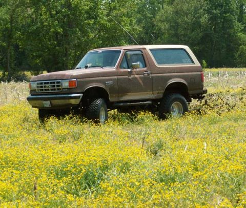 1988 Ford Bronco - This 1988 Ford Bronco is captured in a three-quarter front view, parked amidst a vibrant field of yellow wildflowers.