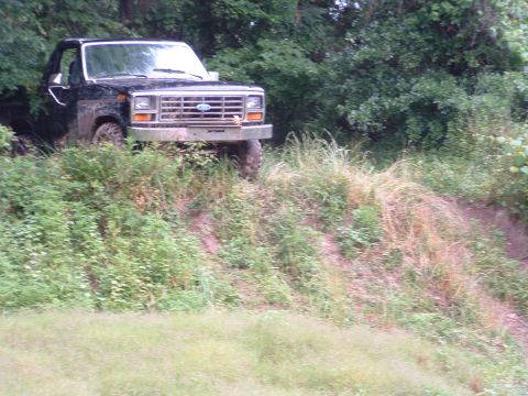 1993 Ford Bronco - Ford F-Series pickup truck driving off-road on a steep, overgrown hill.