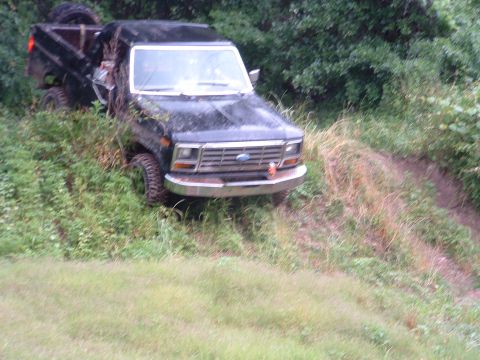 1993 Ford Bronco - This pickup truck appears to be stuck or parked on a steep, overgrown embankment.