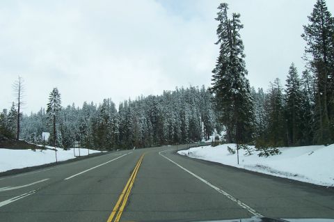 1994 Ford F-150 - Driving on a highway through a snowy mountain landscape with dense pine trees.