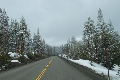 1994 Ford F-150 - A desolate road winds through a snow-covered forest, suggesting a winter journey.