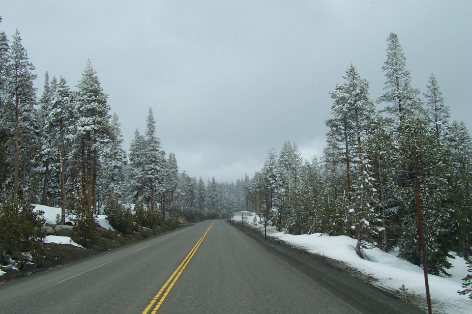 Asphalt road with double yellow lines passes through a forest with snow-covered pine trees under a cloudy sky