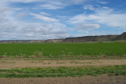 1994 Ford F-150 - A wide view of a green farm field with a distant mesa under a partly cloudy sky.