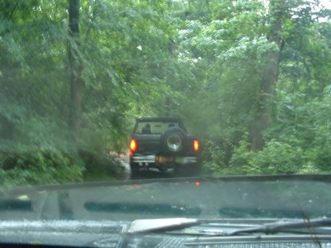 1993 Ford Bronco - Rear view of a 1993 Ford Bronco on a wooded dirt road.