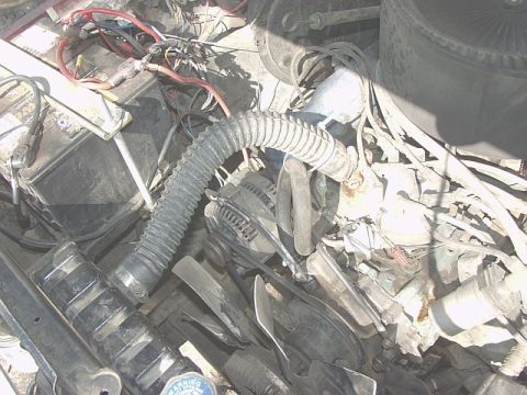 1979 Ford Bronco - good shot of the motor. i think there is room for another alternator (welder) and york (OBA)