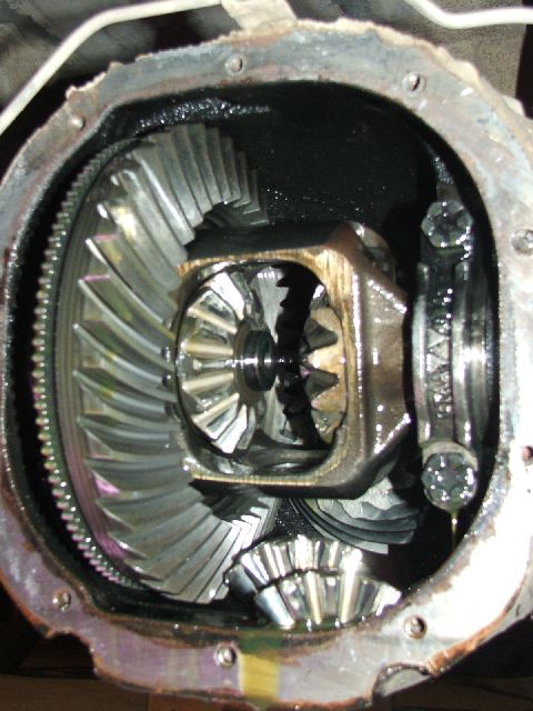 1989 Ford Bronco - Close-up view of differential gears, showing damage to the spider gears.