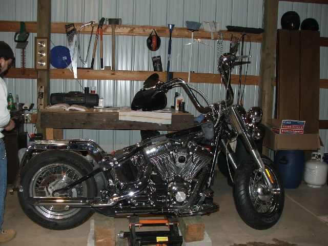 2000 Harley-Davidson Softail in 2005