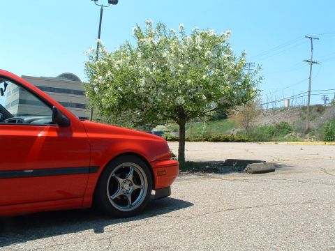 1994 Volkswagen Jetta “stupid low”