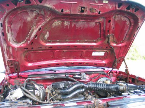 1995 Ford Bronco - The engine bay of a red vehicle is visible with the hood open, revealing various engine parts and wiring.