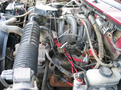 1995 Ford Bronco - Close-up view of a vehicle's engine bay, showing various components like the intake manifold and spark plug wires.