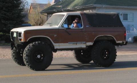 1981 Ford Bronco - I kinda like this one better