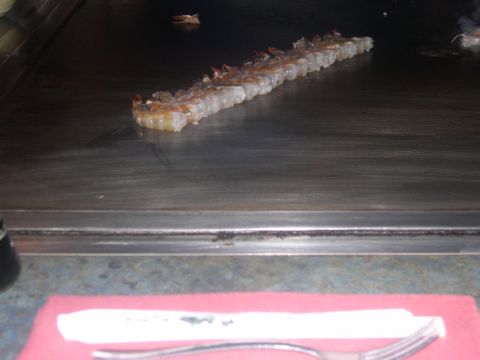 1997 Ford Probe - Shrimp Anyone?