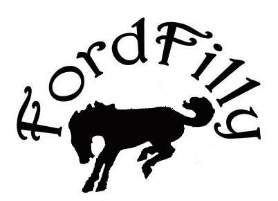 1988 Ford Bronco - A graphic a horse silhouette and the text 'Ford Filly'.