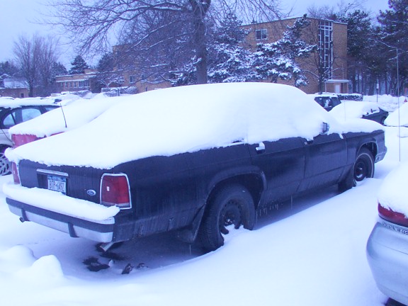Snow from this winter