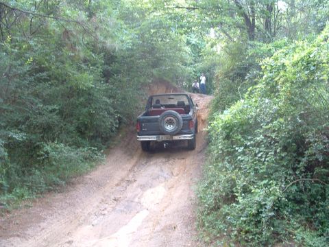 1993 Ford Bronco - A 1993 Ford Bronco navigates a dirt trail surrounded by dense foliage.