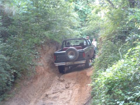 1993 Ford Bronco - A black 1993 Ford Bronco navigates a narrow dirt trail surrounded by dense foliage.
