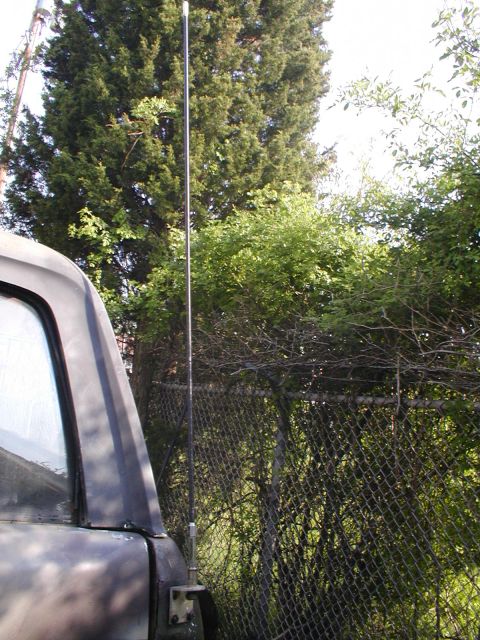1979 Ford Bronco - A vehicle antenna is visible against a backdrop of trees and a chain-link fence.