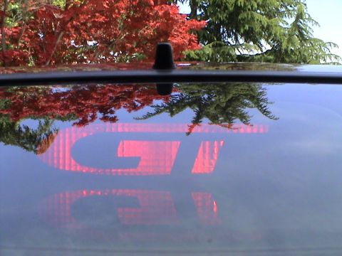 1997 Ford Probe - Reflection of a red GT brake light is visible on the car's roof, with autumn foliage and trees in the background.