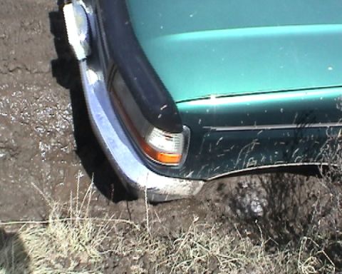 1979 Ford Bronco - Vehicle stuck in mud, showing front fender and bumper detail.