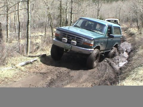 1979 Ford Bronco - A lifted green mid-1990s-style full-size Ford Bronco with a dark hood and tow hooks works through a deep muddy rut on an aspen-lined mounta…
