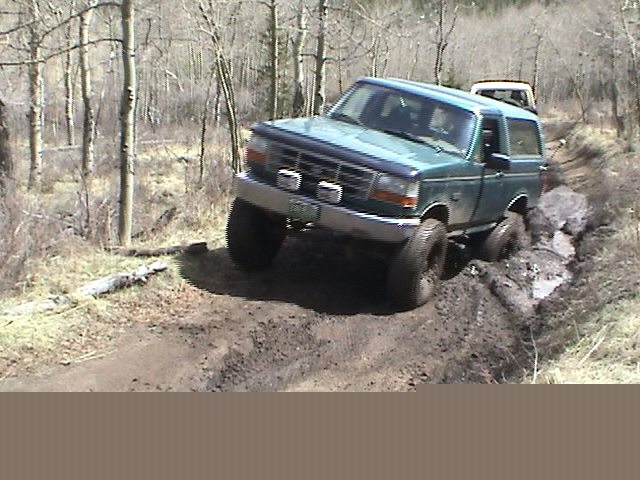 Green lifted Ford Bronco stuck in a deep mud rut on an aspen forest trail
