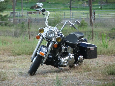 2000 Harley-Davidson Softail “Black Betty - Back In Black!!!”