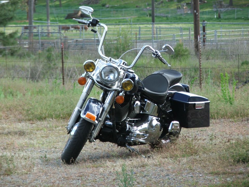 Black Harley-Davidson Softail with amber passing lamps and hard saddlebag by a livestock fence