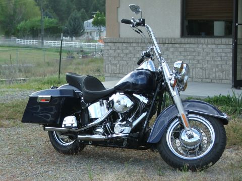 2000 Harley-Davidson Softail “Black Betty - Back In Black!!!”