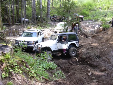 1991 Ford Bronco - Off-road vehicles traverse a challenging muddy path through a forest, with a white Jeep Wrangler prominently featured.