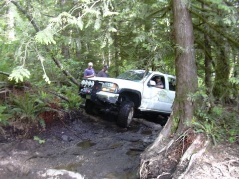1991 Ford Bronco - Pickup truck with large tires and auxiliary lights driving through a wooded area.