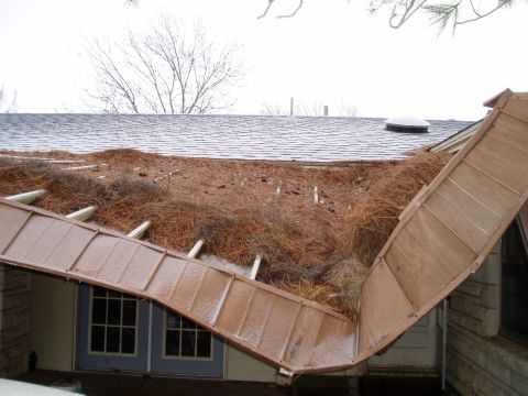 1990 Ford Bronco - Roof damage from accumulated pine needles and a detached copper roof section.