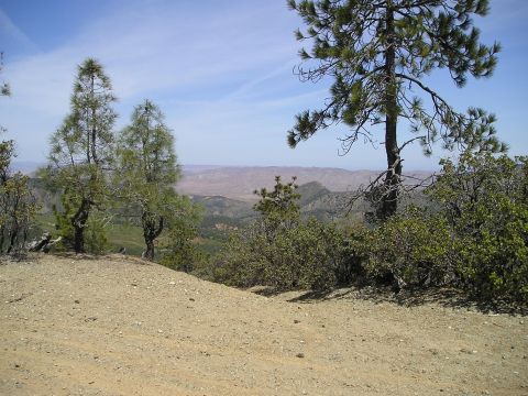 1989 Ford Bronco - A scenic view from a dirt road in a mountainous area with scattered trees and a hazy horizon.