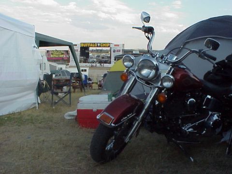 2000 Harley-Davidson Softail “Black Betty - Back In Black!!!”